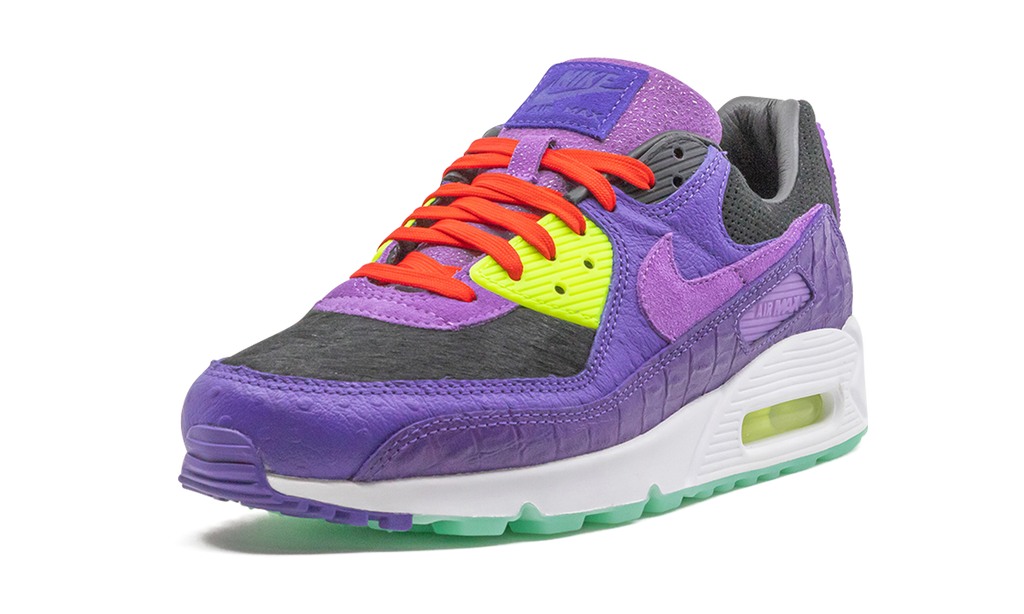 "Animal Pack - Violet Blend" Air Max 90 CZ5588 001 - product image from the listing.