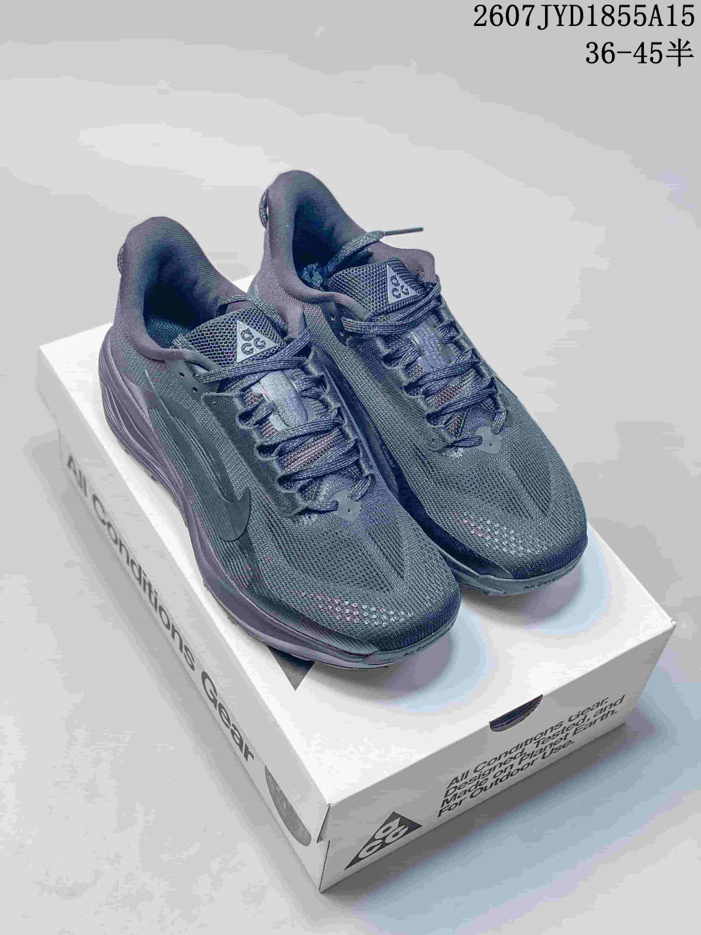 Nike ACG Pegasus Trail Sneakers in Dark Gray HV8116-310 - product image from the listing.
