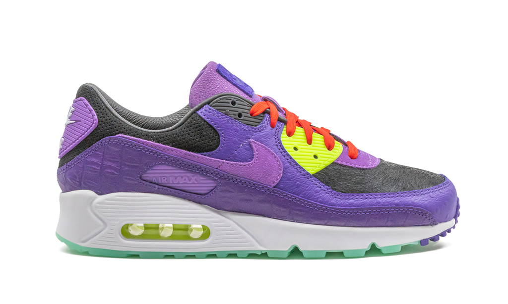 "Animal Pack - Violet Blend" Air Max 90 CZ5588 001 - product image from the listing.