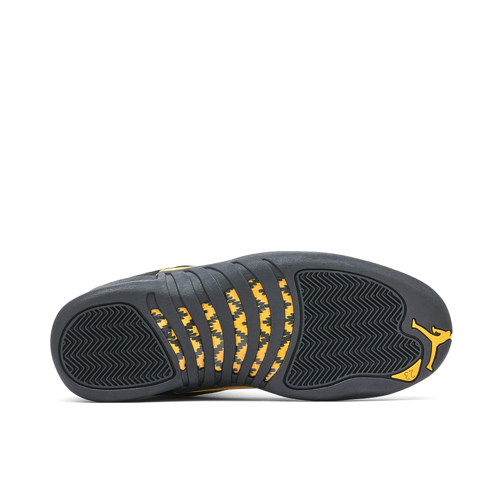 BLACK TAXI - AIR JORDAN 12 - product image from the listing.