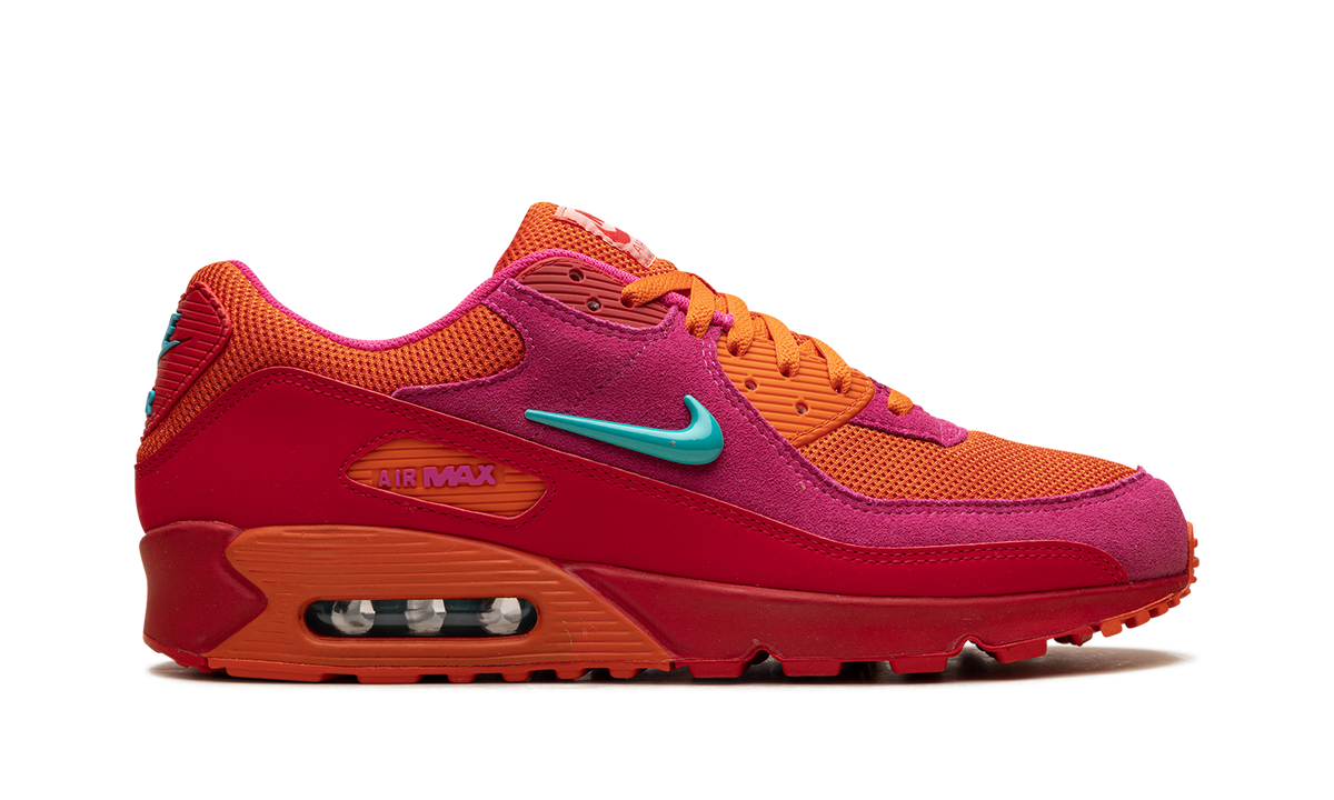"Alchemy Pink" Air Max 90 FJ3868 600 - product image from the listing.