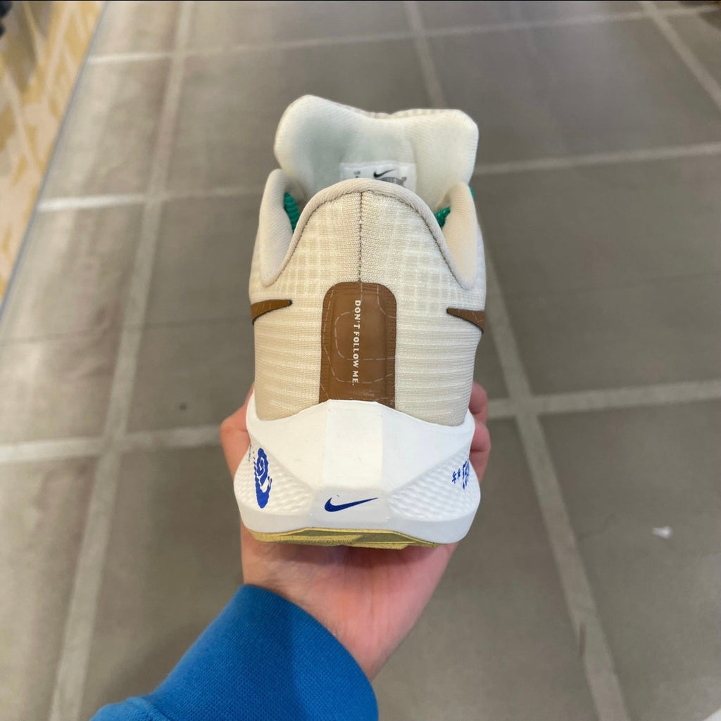 Nike Air Zoom Pegasus 39 Shoes for Running, Beige, DV8922-100 - product image from the listing.