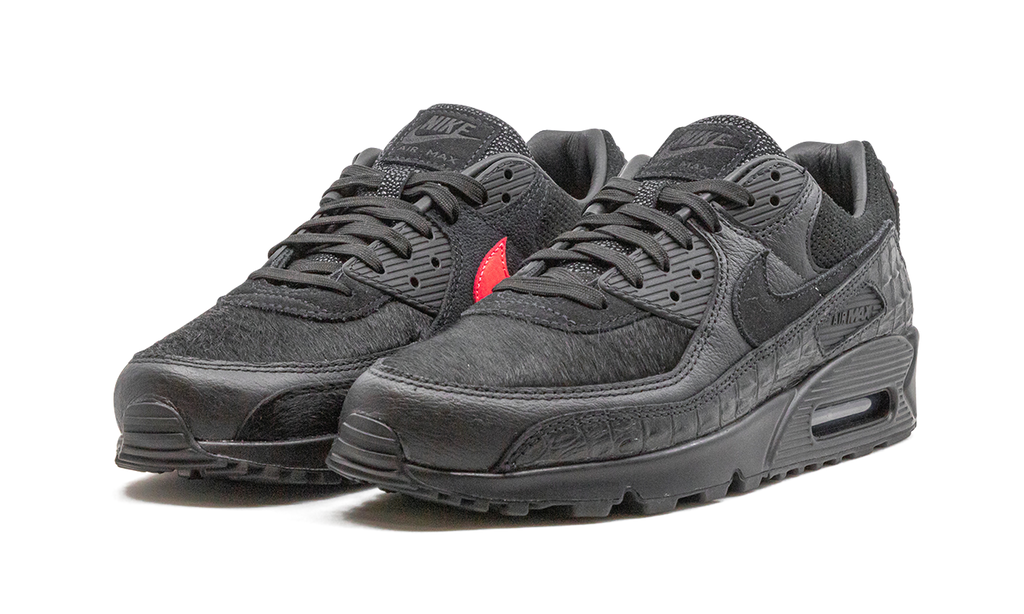 "Animal Pack" Air Max 90 CZ5588 002 - product image from the listing.