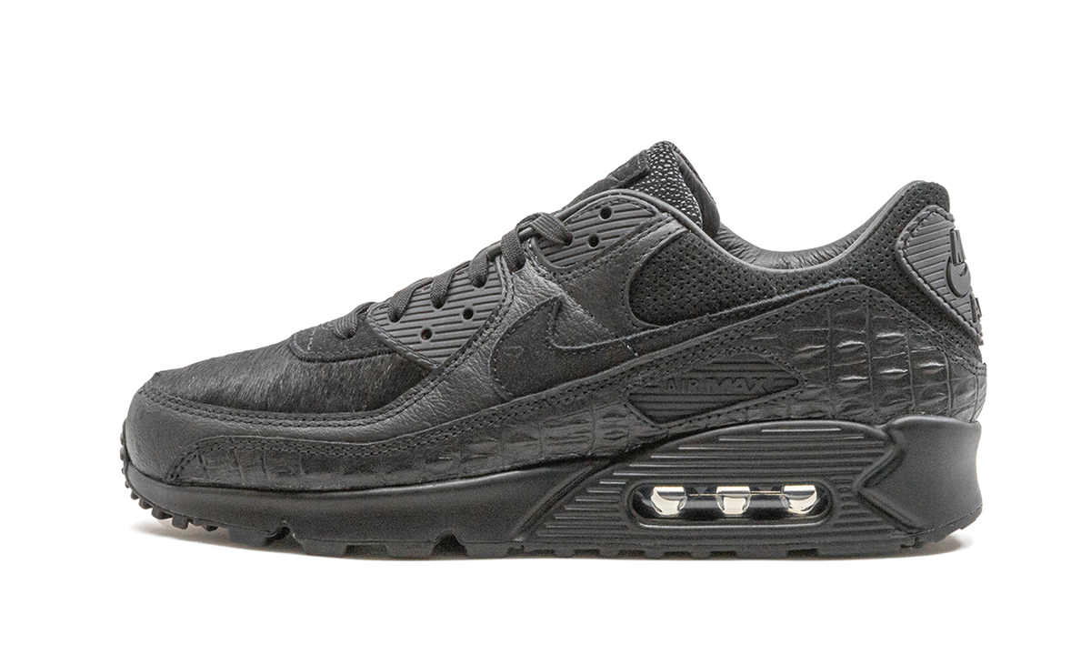 "Animal Pack" Air Max 90 CZ5588 002 - product image from the listing.