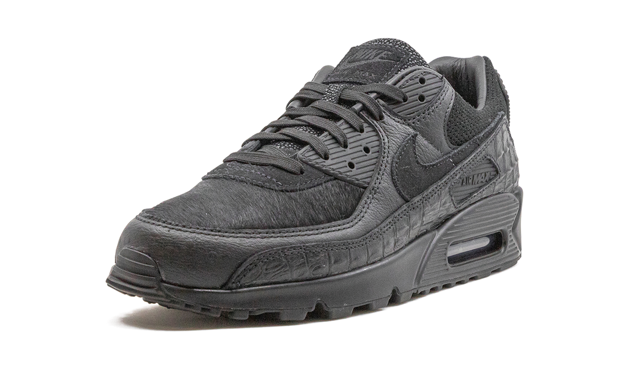 "Animal Pack" Air Max 90 CZ5588 002 - product image from the listing.