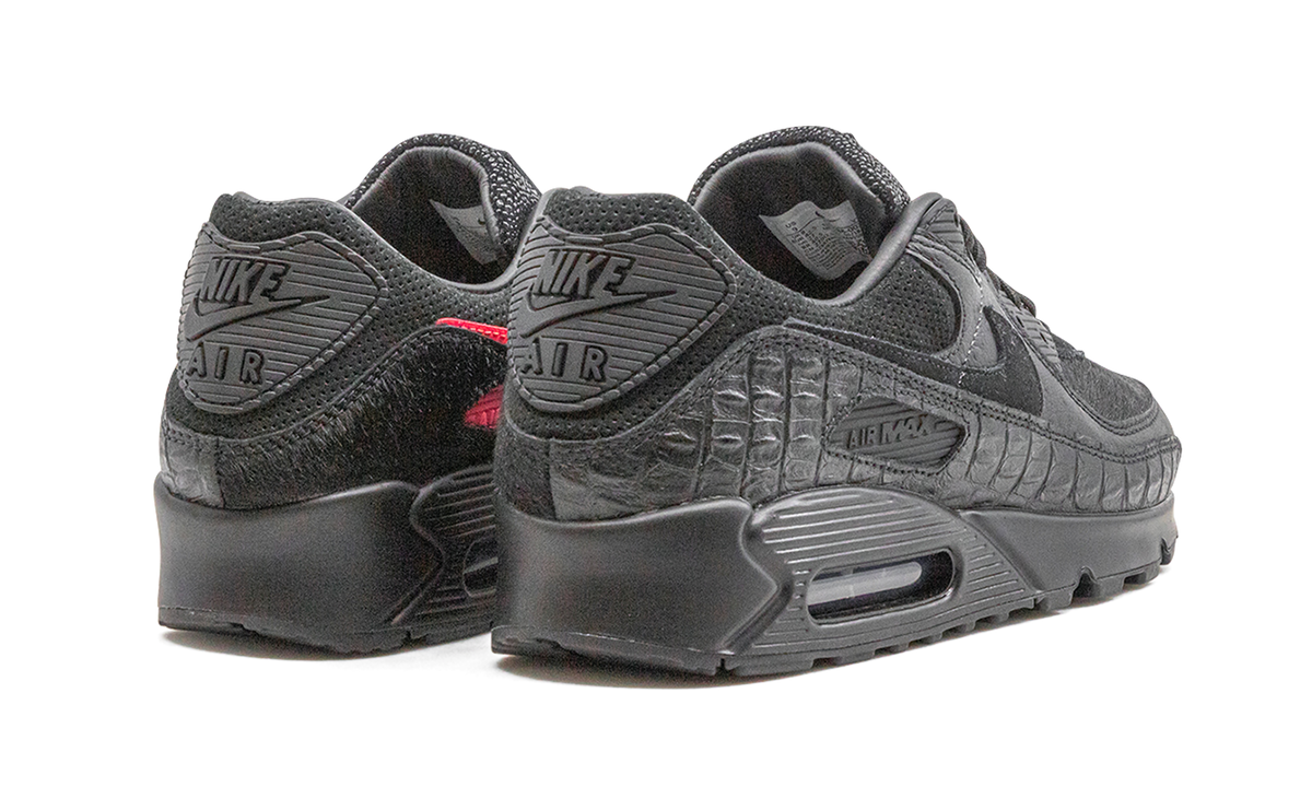 "Animal Pack" Air Max 90 CZ5588 002 - product image from the listing.
