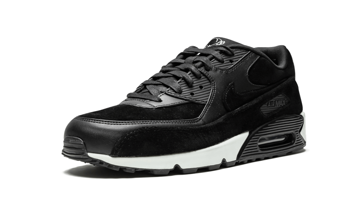 "Rebel Skulls" Air Max 90 Premium 700155 009 - product image from the listing.