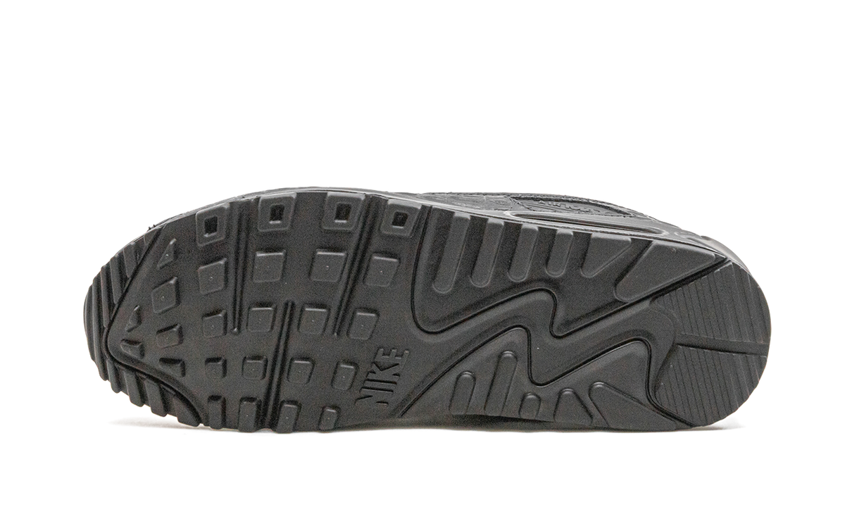 "Animal Pack" Air Max 90 CZ5588 002 - product image from the listing.