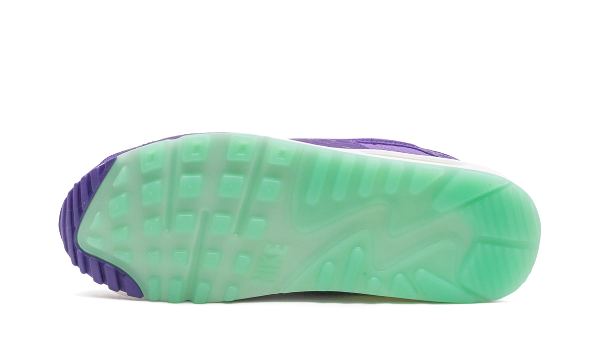 "Animal Pack - Violet Blend" Air Max 90 CZ5588 001 - product image from the listing.
