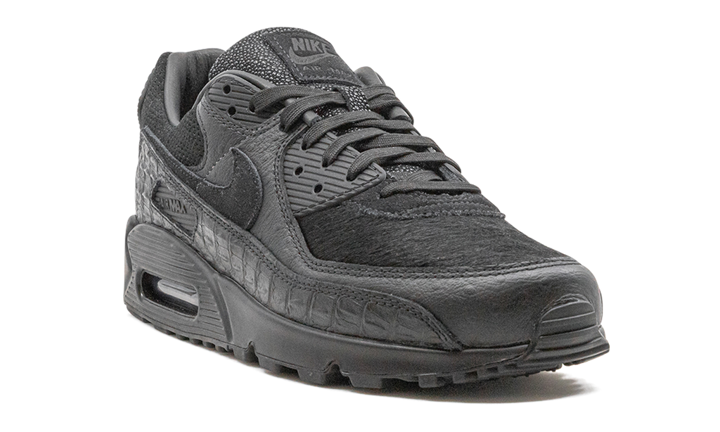 "Animal Pack" Air Max 90 CZ5588 002 - product image from the listing.