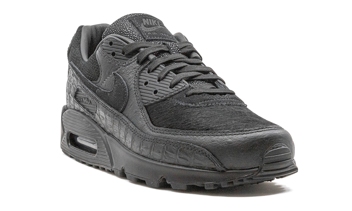 "Animal Pack" Air Max 90 CZ5588 002 - product image from the listing.