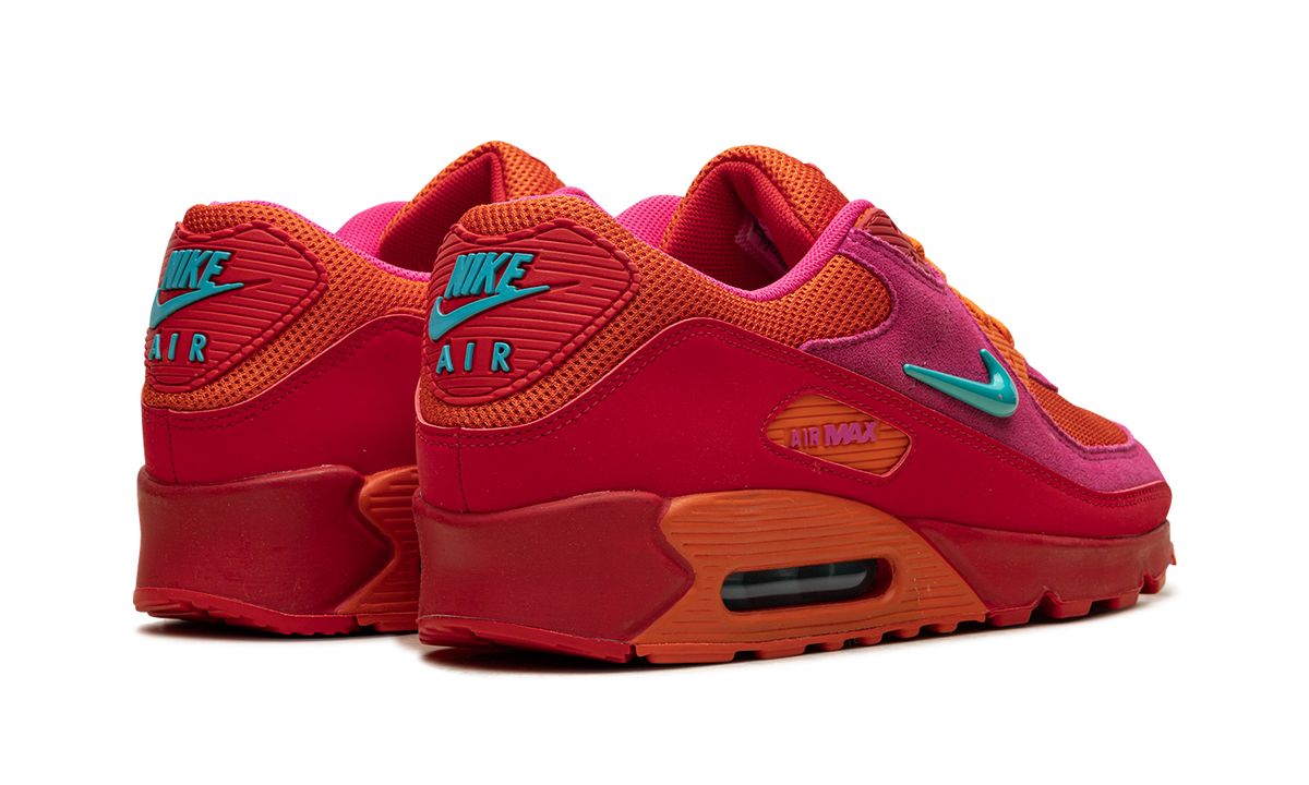 "Alchemy Pink" Air Max 90 FJ3868 600 - product image from the listing.
