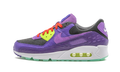 "Animal Pack - Violet Blend" Air Max 90 CZ5588 001 - product image from the listing.