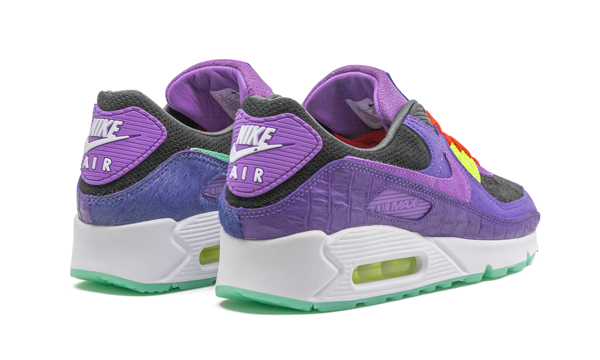 "Animal Pack - Violet Blend" Air Max 90 CZ5588 001 - product image from the listing.