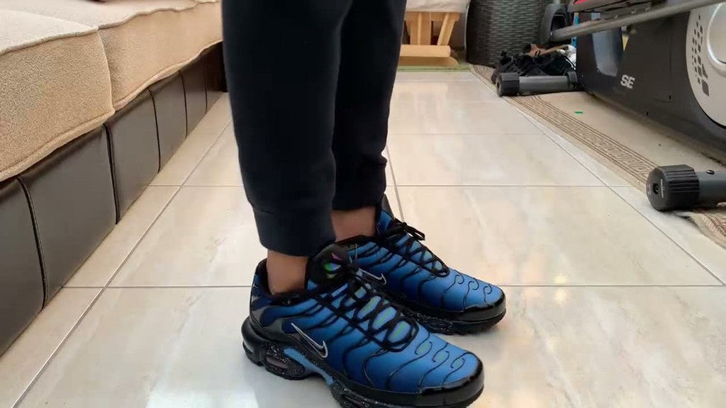 Nike TN Air Max Plus Blue Gradient Trainers - product image from the listing.