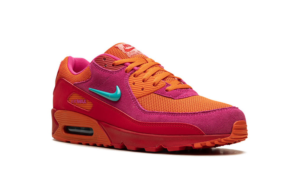 "Alchemy Pink" Air Max 90 FJ3868 600 - product image from the listing.