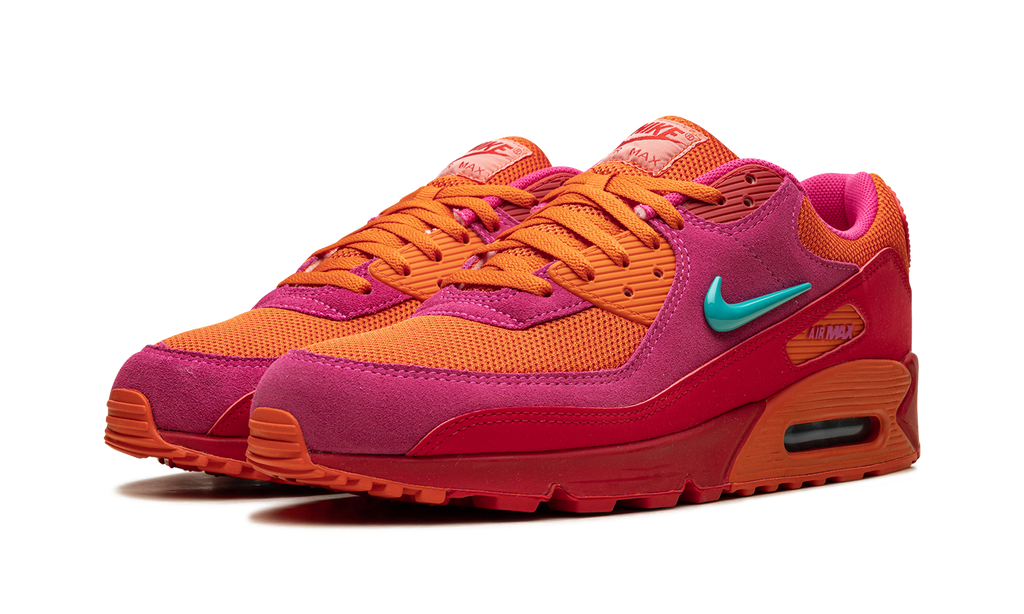 "Alchemy Pink" Air Max 90 FJ3868 600 - product image from the listing.