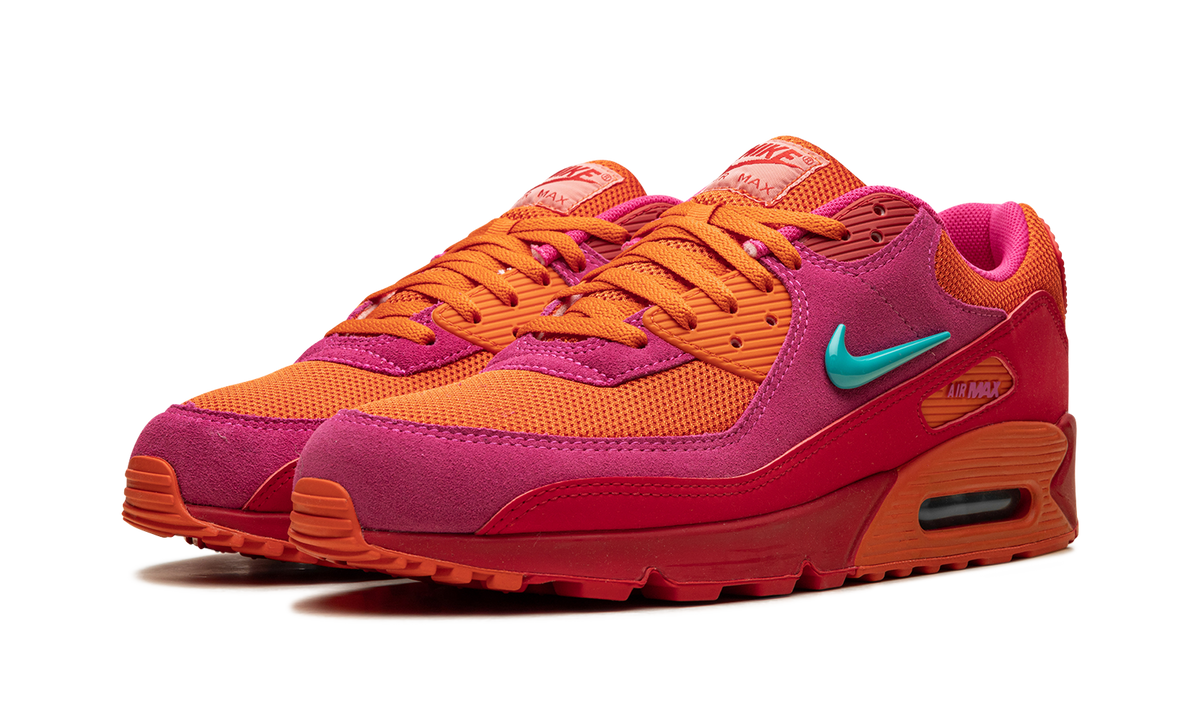 "Alchemy Pink" Air Max 90 FJ3868 600 - product image from the listing.