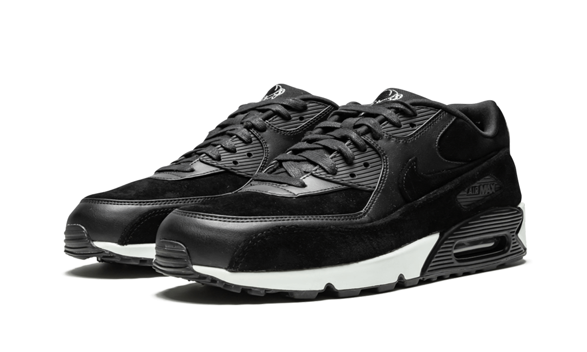 "Rebel Skulls" Air Max 90 Premium 700155 009 - product image from the listing.