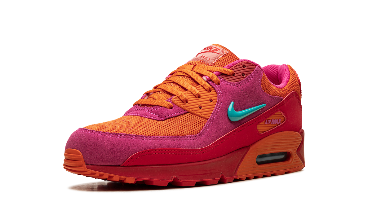 "Alchemy Pink" Air Max 90 FJ3868 600 - product image from the listing.